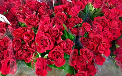 Happy Valentine’s Day