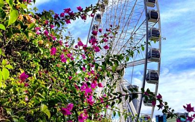 Favourite things to do at South Bank this April