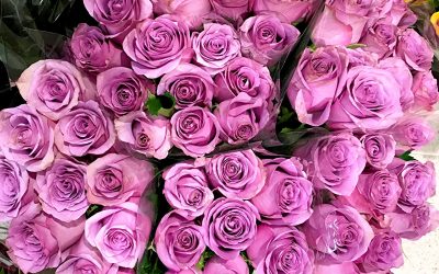 Make Mother’s Day momentous