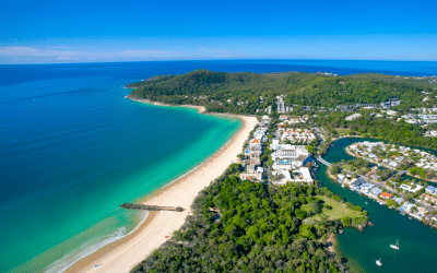 Noosa alive!