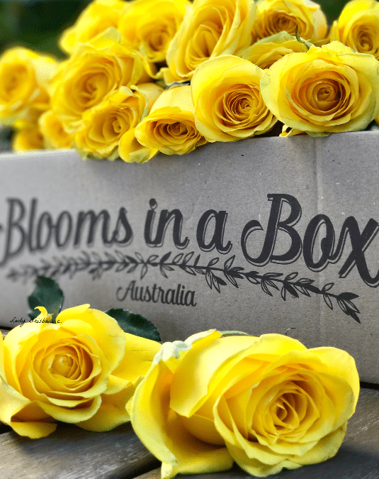 Blooms in a Box