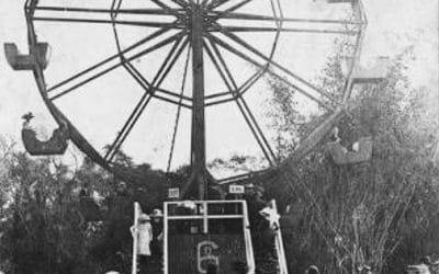 The Ekka – part 2