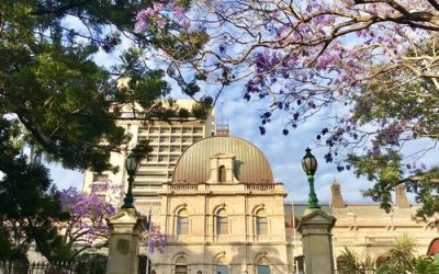 Did you know you can dine at Queensland Parliament?
