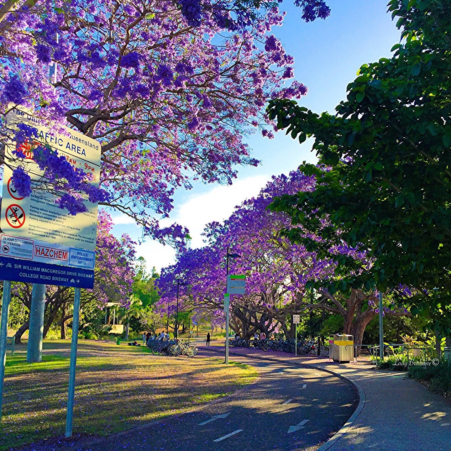 University of Queensland, St Lucia campus.