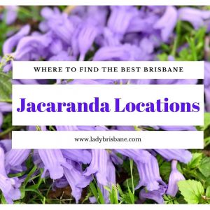 Best-Brisbane-Jakarta-Location
