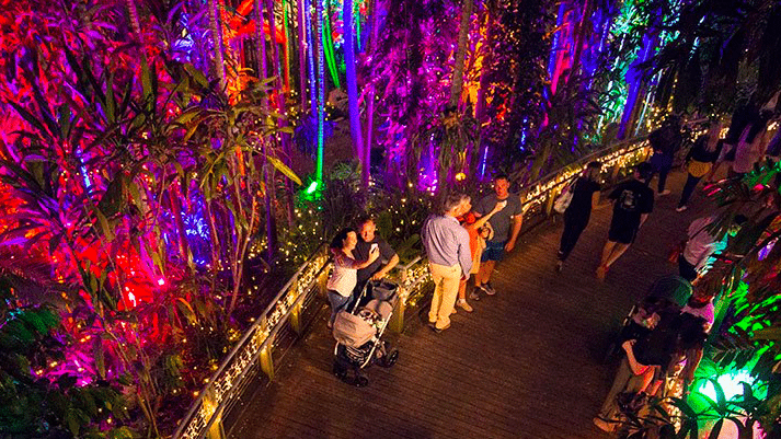 The Enchanted Garden at RSP