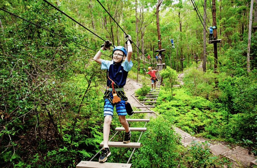 Treetop Challenge