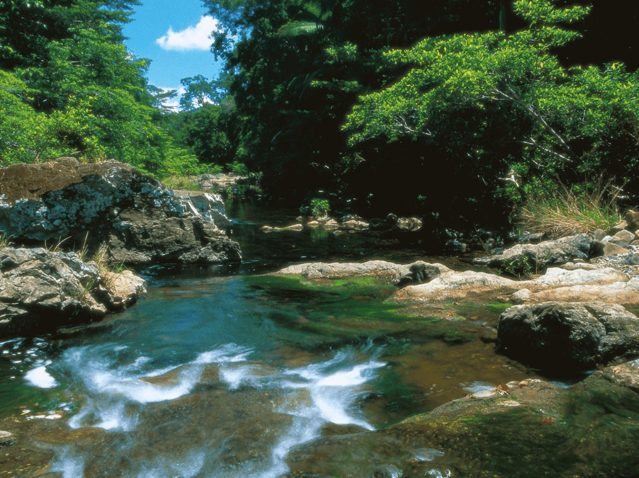 Cedar Creek Falls