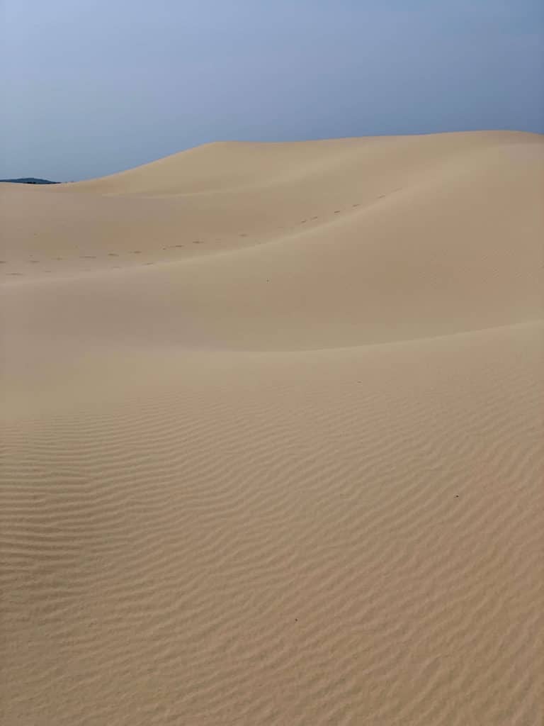 Great Southern Lady Brisbane Stockton Sand Dune 2