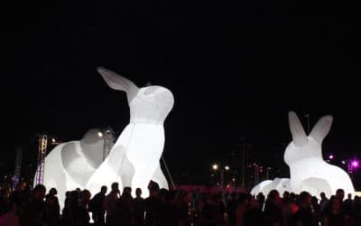 The bunnies are coming to Brisbane
