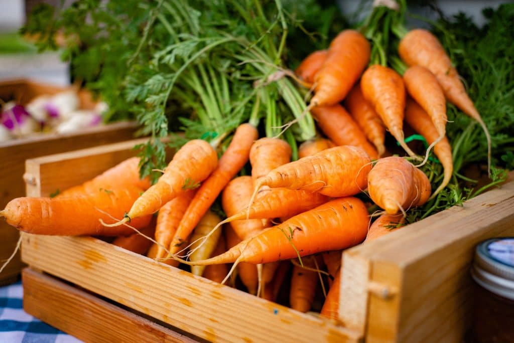 Carrots Unsplash