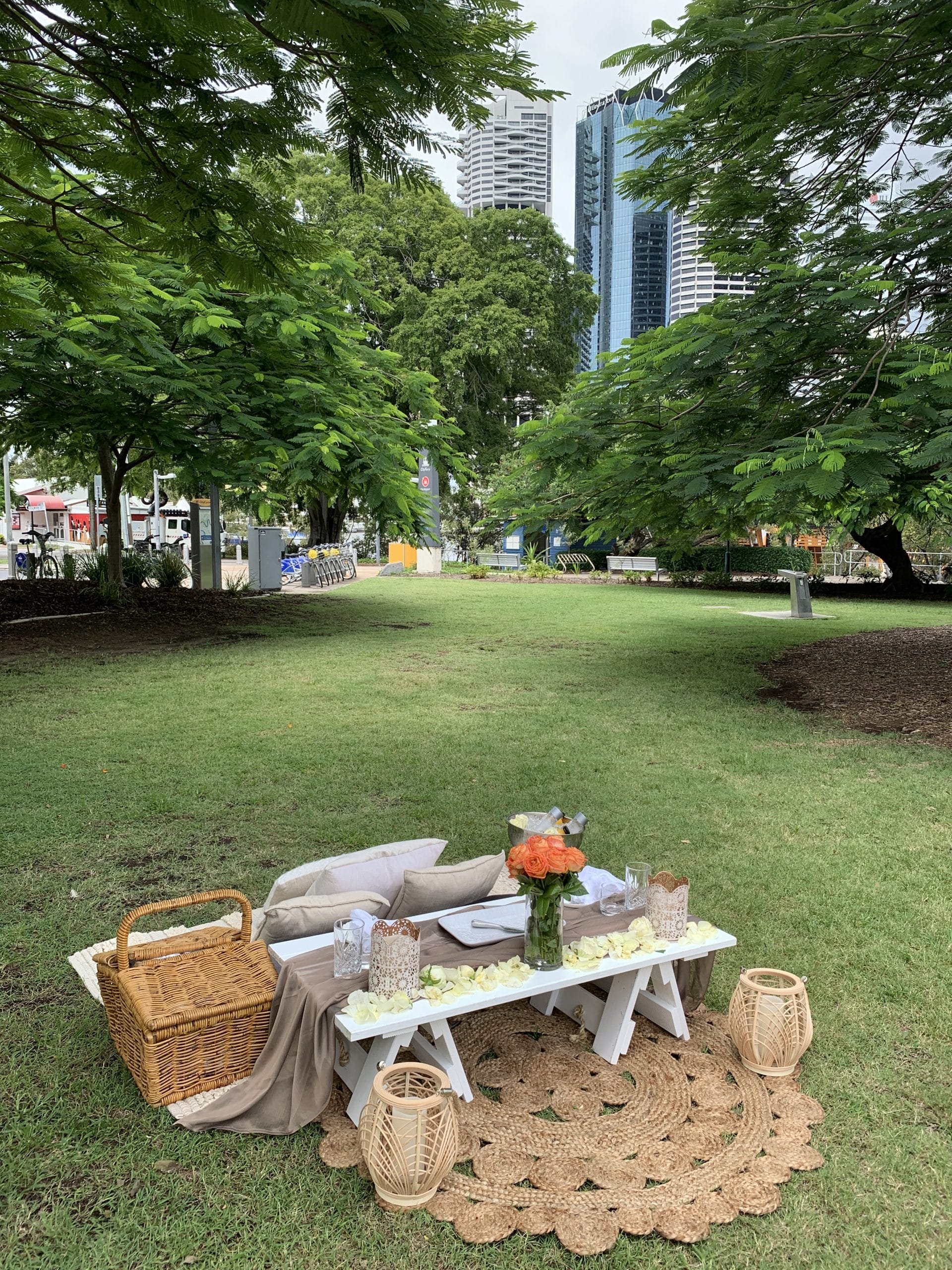 Lady Brisbane picnics Lady Brisbane picnics