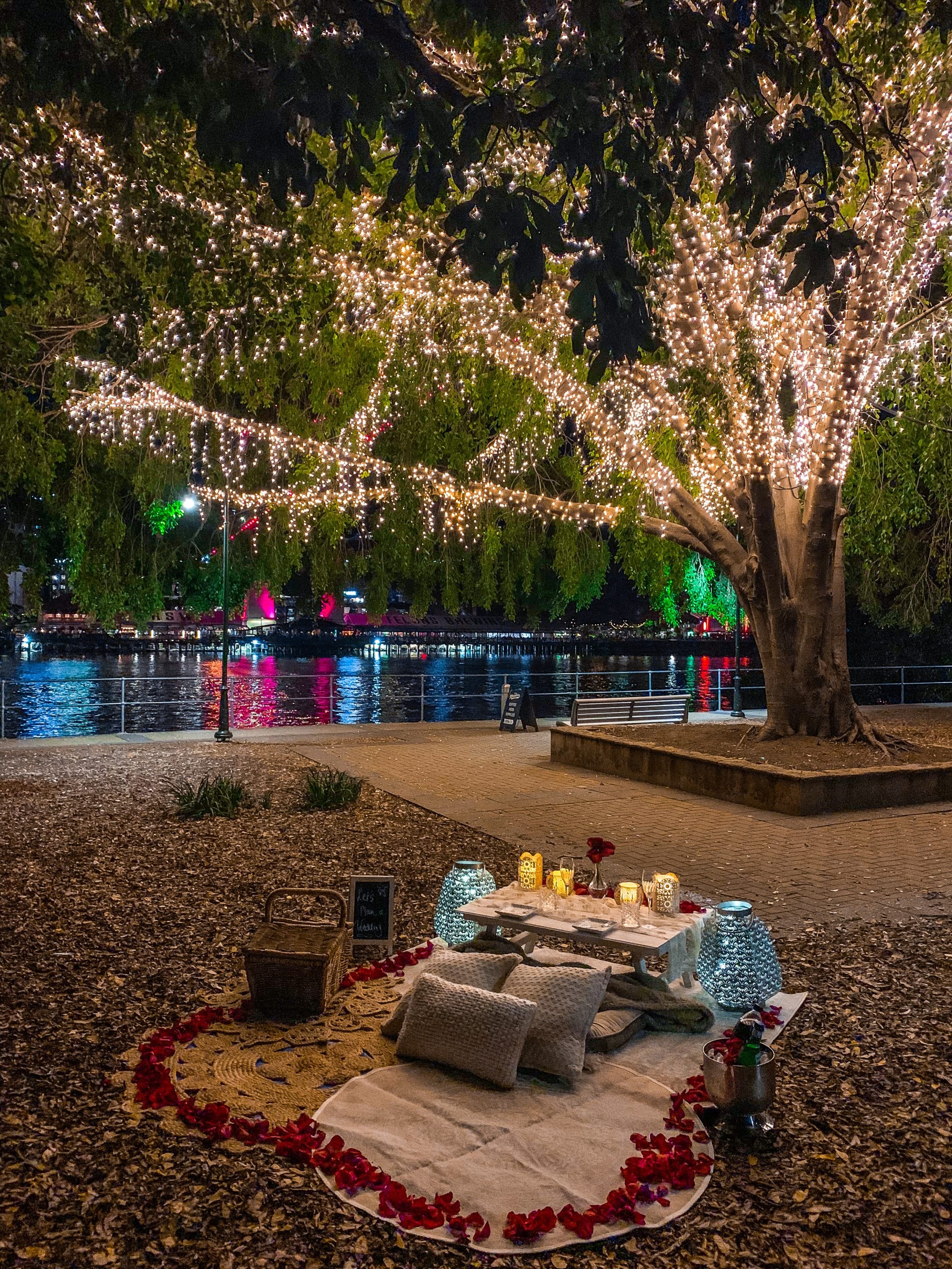 Proposal picnic