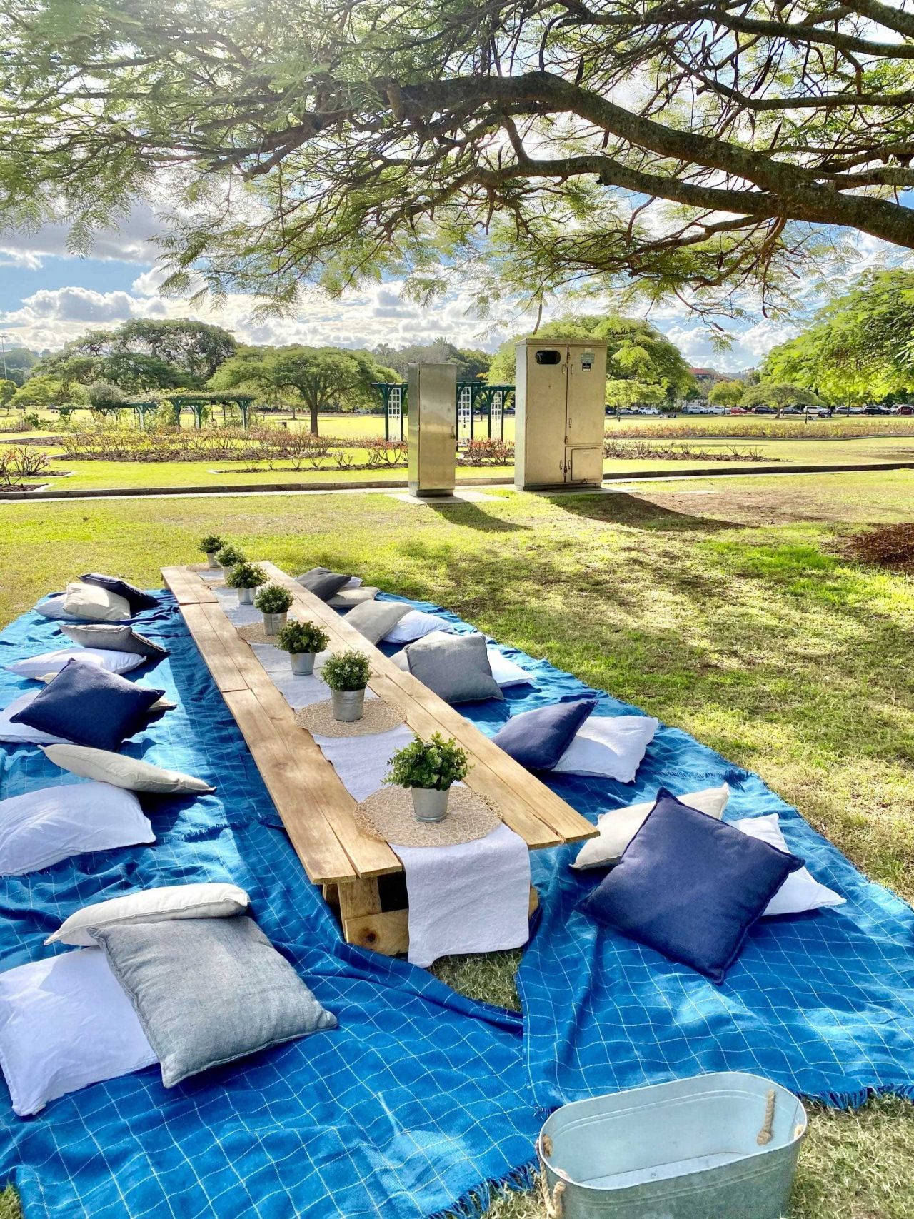 Brisbane Picnic Areas New Farm Park Lady Brisbane Brisbane Picnics