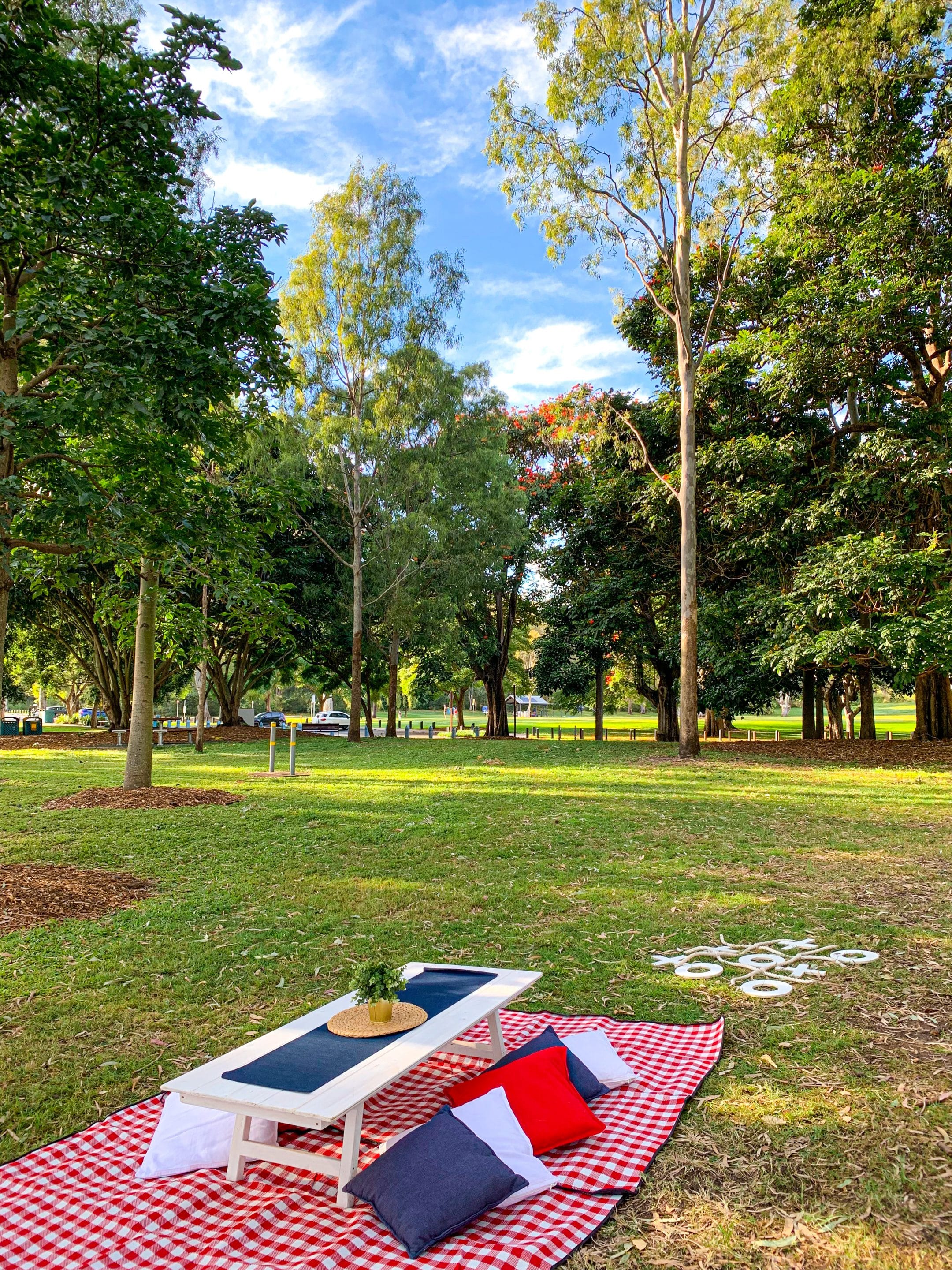 Traditional picnic package