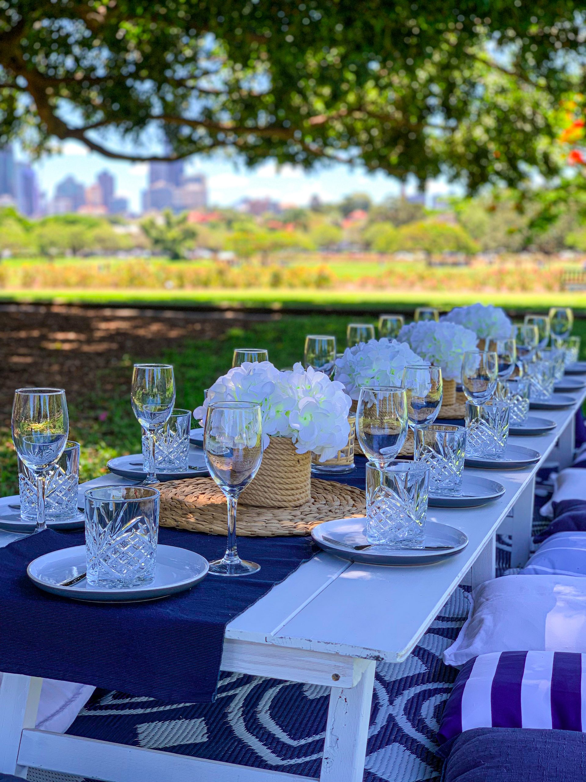 Blue and white picnic package