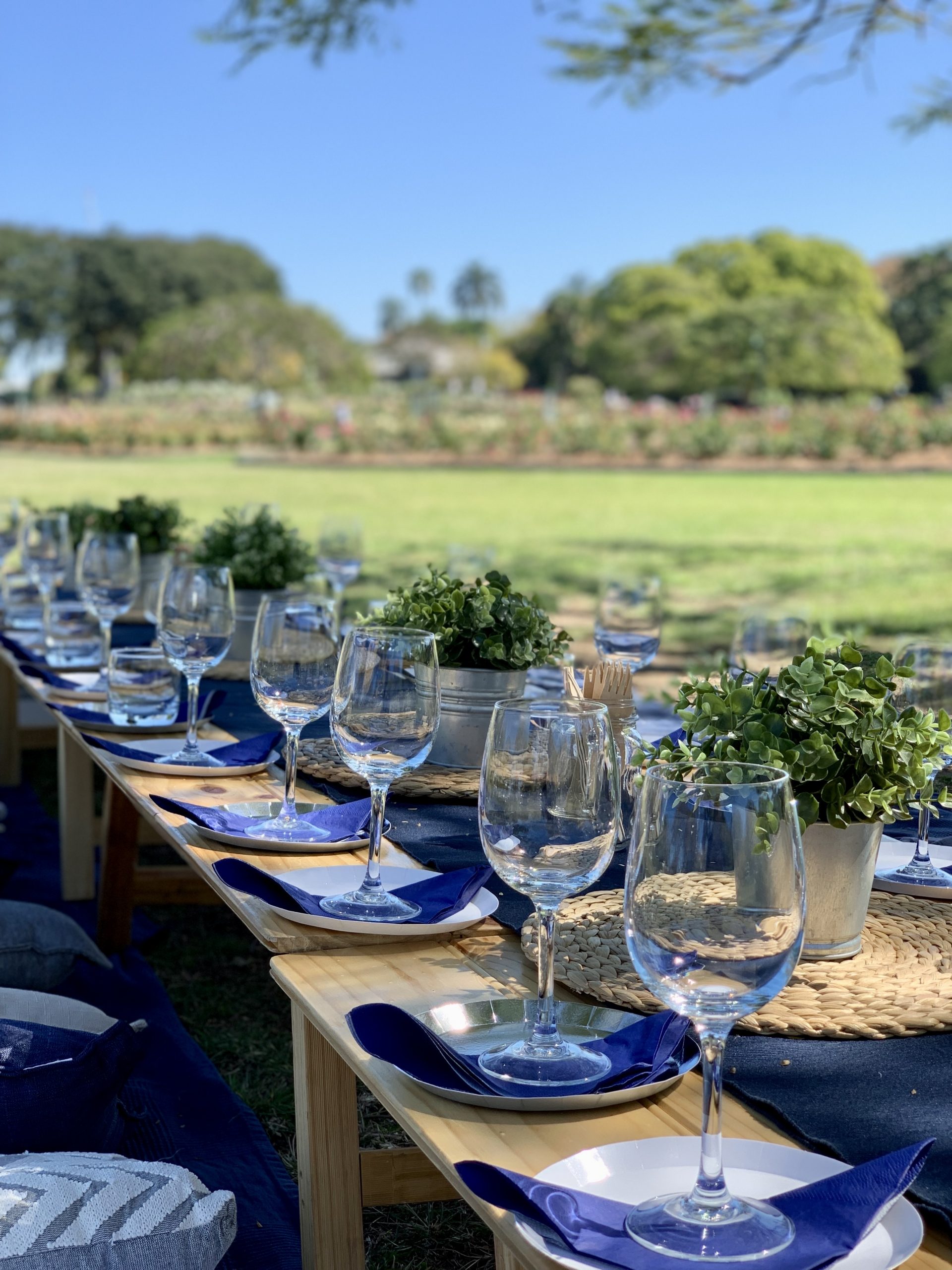 Vintage-Brisbane-picnic-setting